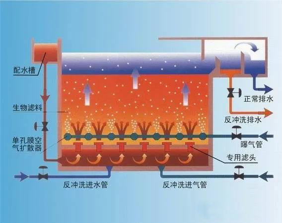 BAF工艺流程图 BAF工艺流程图
