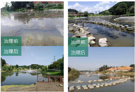 农村污水处理设备是生物膜法衍生的一种废水生物处理方法