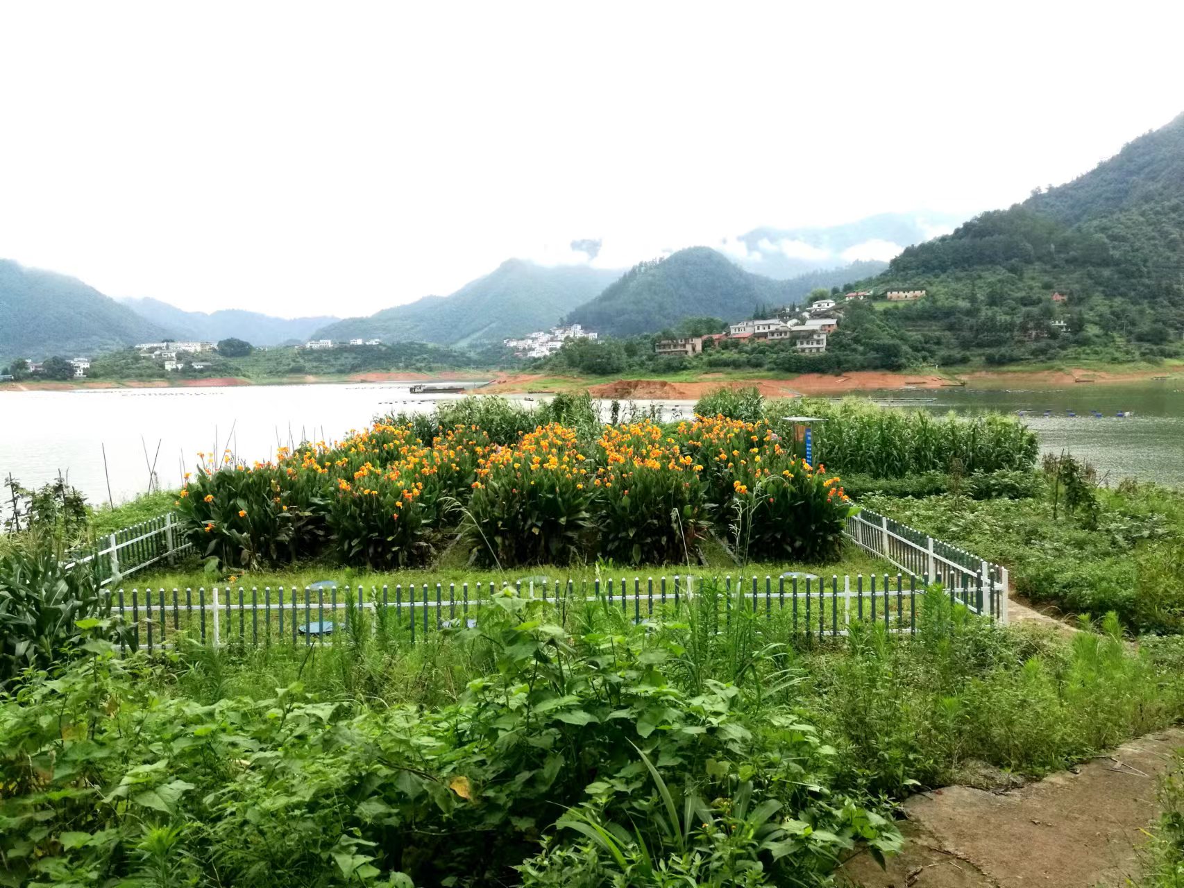 1704246897214275.jpg 微信图片_20230504112542.jpg