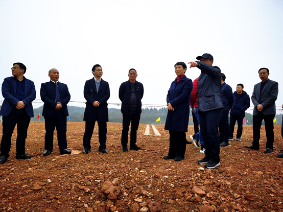 P站免费在线观看土壤修复环境综合P站APP下载安装