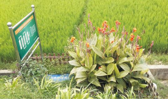 农村环境综合整治找哪家公司好？