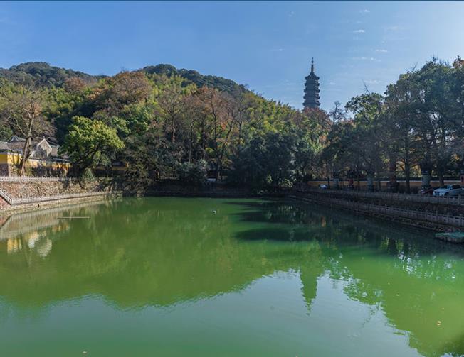 P站免费版加盟好项目有哪些？