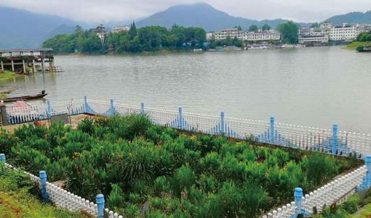 浅谈农村污水主要来源有哪些？