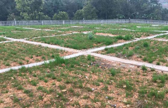 农村环境P站APP下载安装怎么做才更有效？