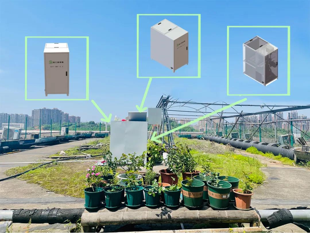 P站免费在线观看