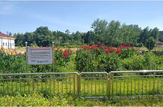 医疗废水处理面临哪些难题？